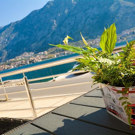 Apartments Jovanovic Kotor Bilik gambar