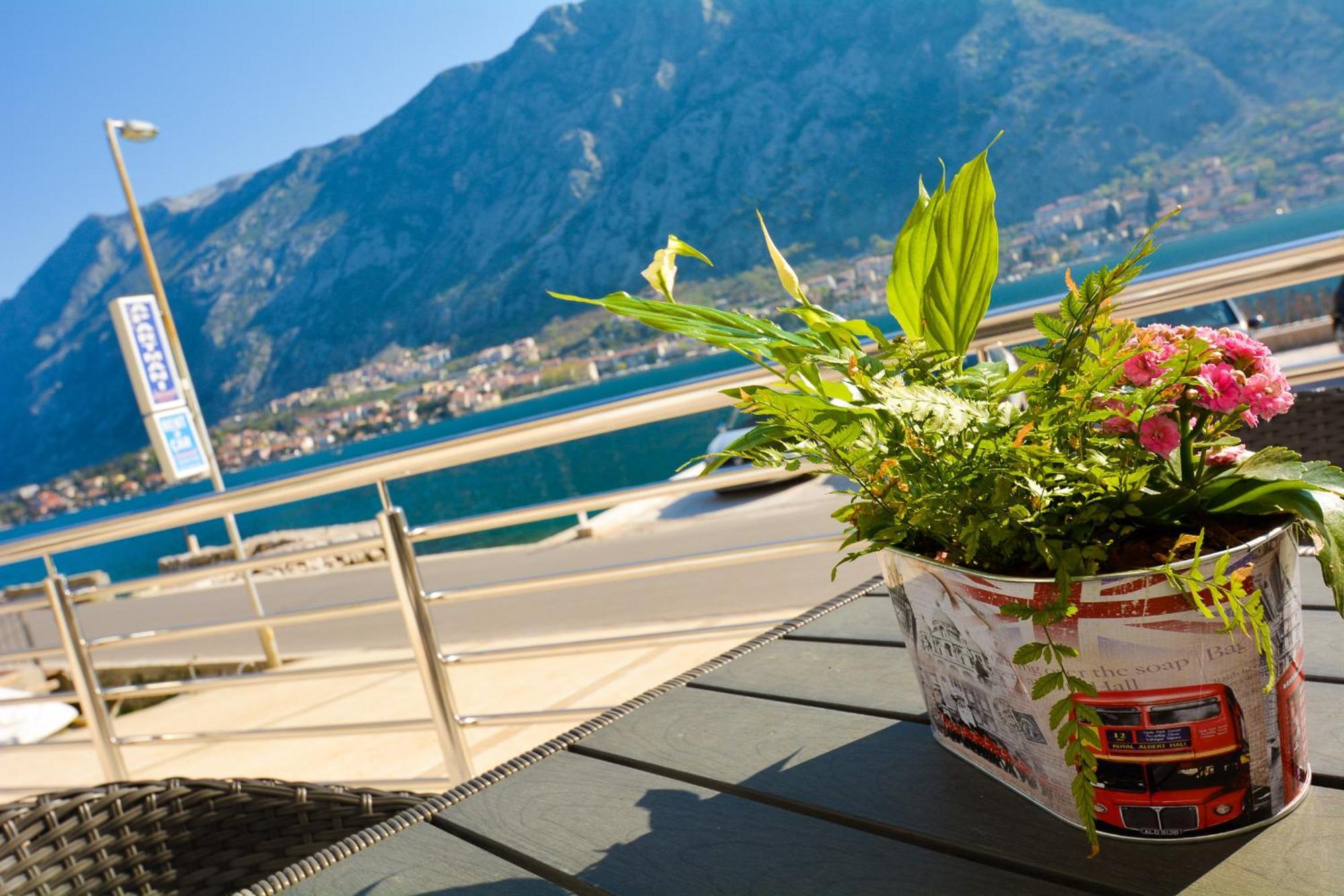 Apartments Jovanovic Kotor Bilik gambar